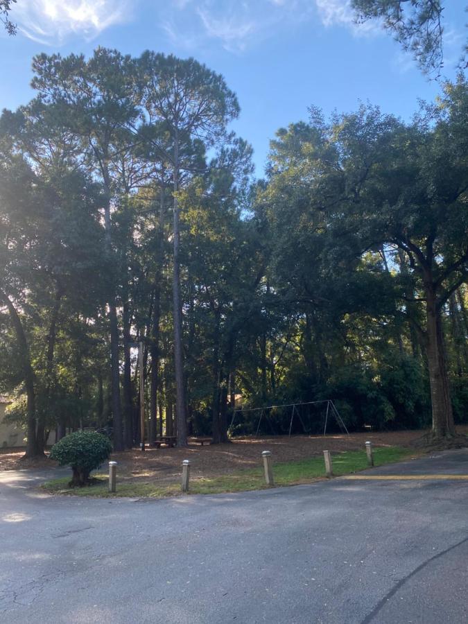 Hhi Homes- Newly Renovated Cozy Modern Pet-friendly Villa-ideal Location