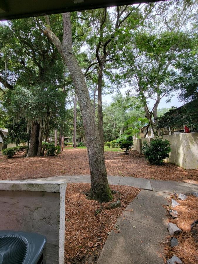 Hhi Homes- Newly Renovated Cozy Modern Pet-friendly Villa-ideal Location Villa